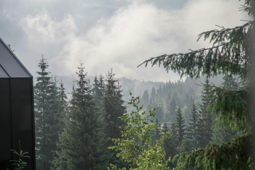 Шале Dereva Jablunyzja Exterior foto