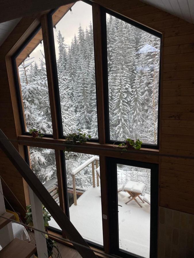 Шале Dereva Jablunyzja Exterior foto